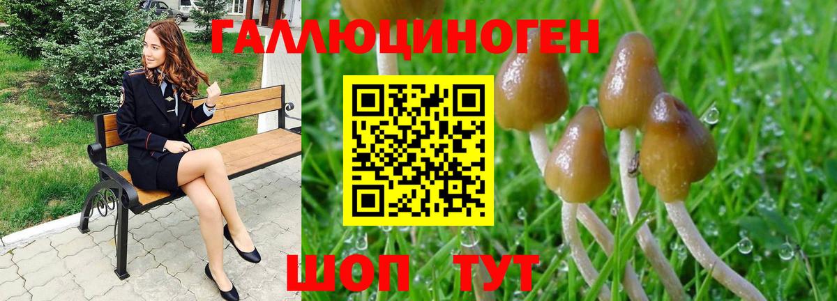 Мариинск  Псилоцибиновые грибы прущие грибы  купить   Вход с VPN 